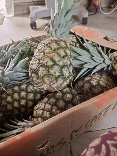 Ananas